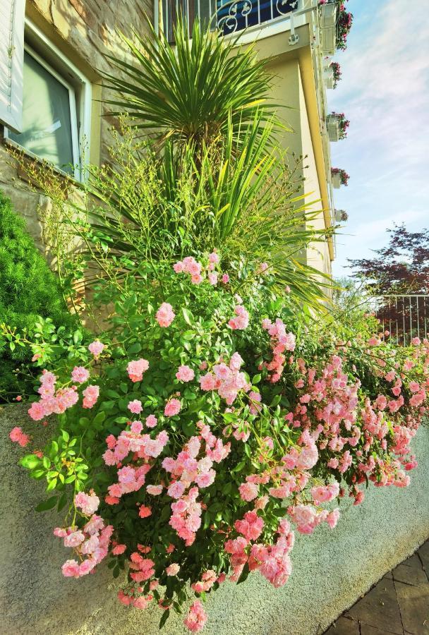 Guesthouse Olei Malinska Εξωτερικό φωτογραφία