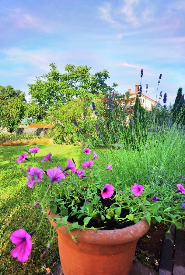 Guesthouse Olei Malinska Εξωτερικό φωτογραφία